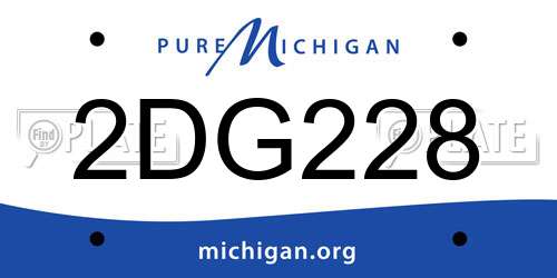 2DG228 Michigan License Plate