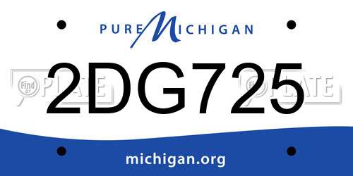 2DG725 Michigan License Plate