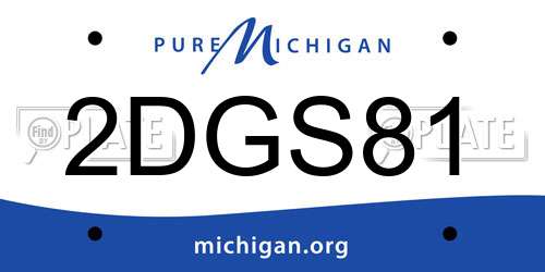 2DGS81 Michigan License Plate