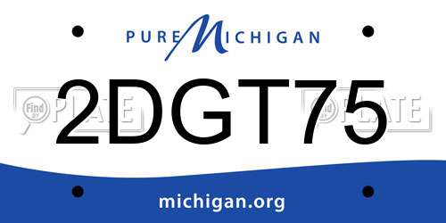 2DGT75 Michigan License Plate