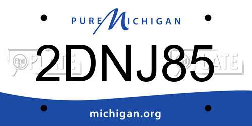 2DNJ85 Michigan License Plate