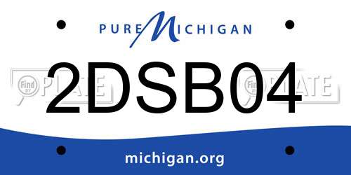 2DSB04 Michigan License Plate