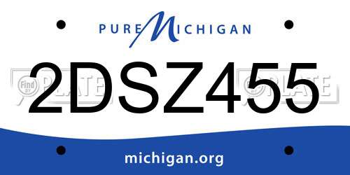 2DSZ455 Michigan License Plate