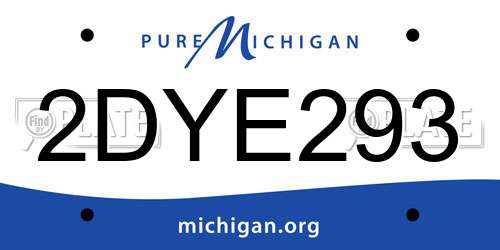 2DYE293 Michigan License Plate