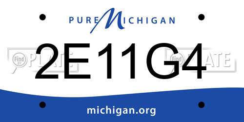2E11G4 Michigan License Plate