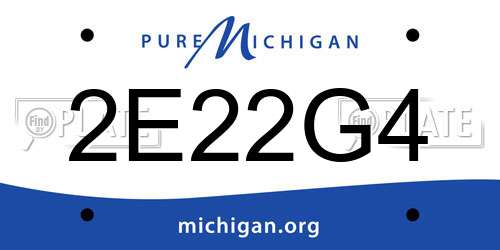 2E22G4 Michigan License Plate