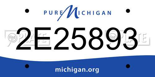 2E25893 Michigan License Plate