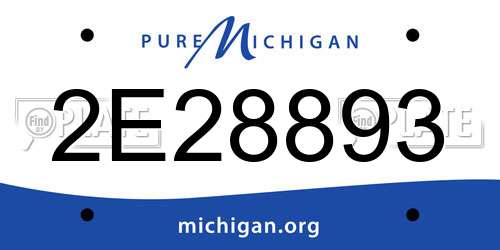 2E28893 Michigan License Plate
