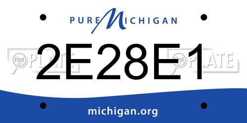 2E28E1 Michigan License Plate