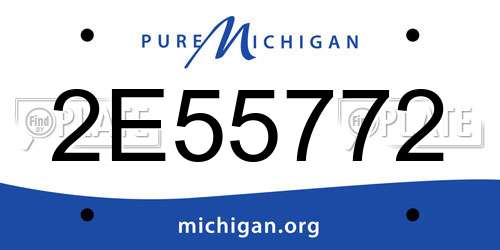 2E55772 Michigan License Plate