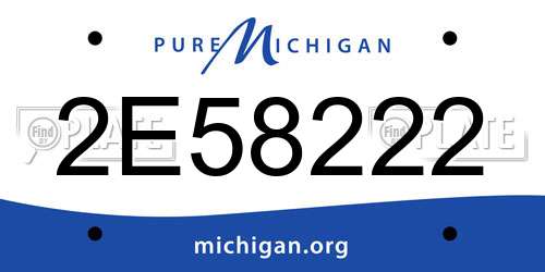 2E58222 Michigan License Plate