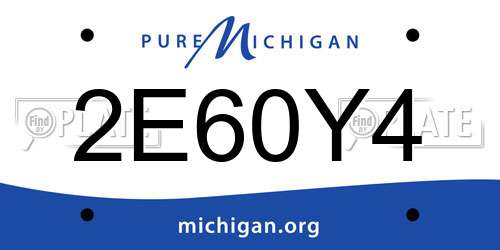 2E60Y4 Michigan License Plate