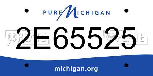 2E65525 Michigan License Plate
