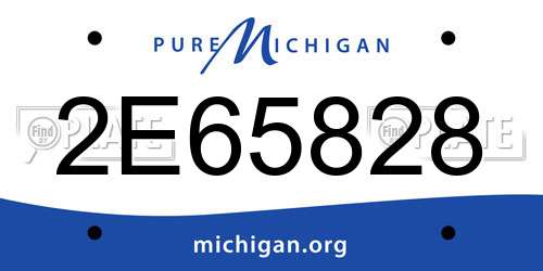 2E65828 Michigan License Plate