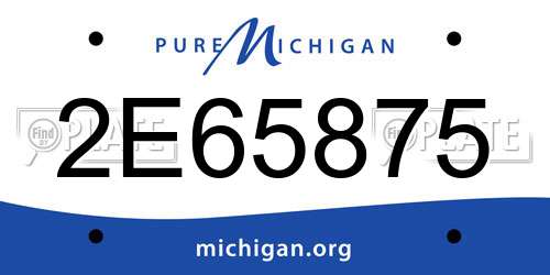 2E65875 Michigan License Plate