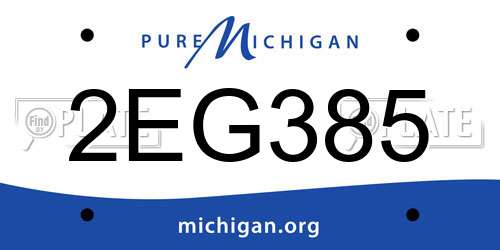 2EG385 Michigan License Plate