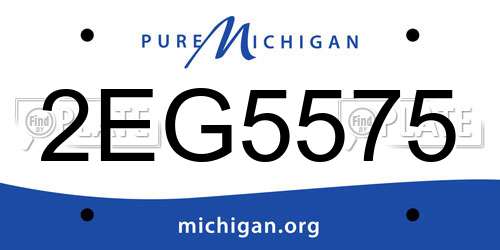 2EG5575 Michigan License Plate