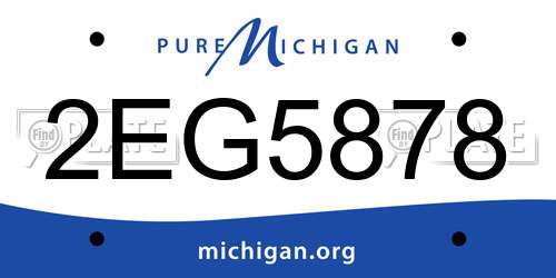 2EG5878 Michigan License Plate