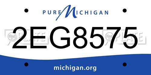 2EG8575 Michigan License Plate