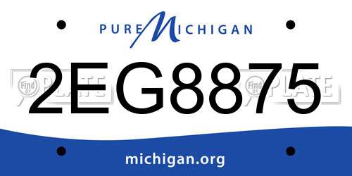 2EG8875 Michigan License Plate