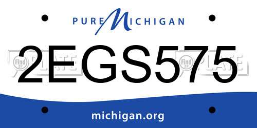 2EGS575 Michigan License Plate
