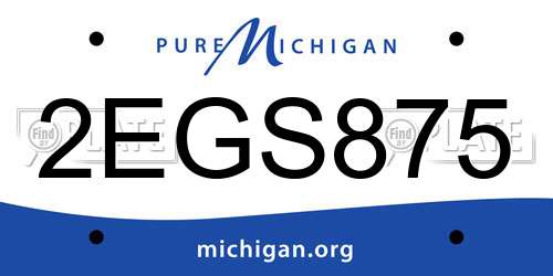 2EGS875 Michigan License Plate