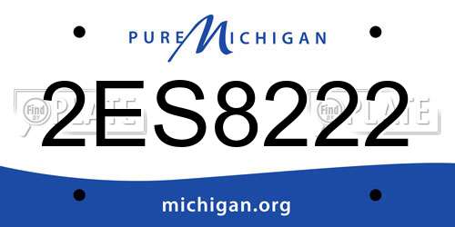 2ES8222 Michigan License Plate