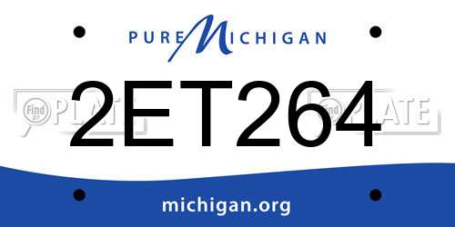 2ET264 Michigan License Plate