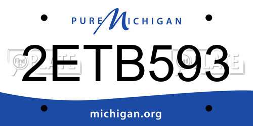 2ETB593 Michigan License Plate
