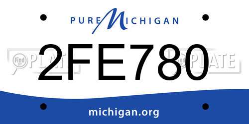 2FE780 Michigan License Plate