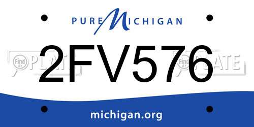 2FV576 Michigan License Plate