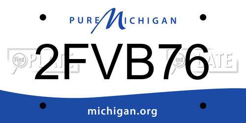 2FVB76 Michigan License Plate