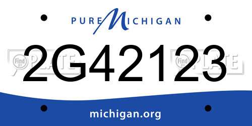 2G42123 Michigan License Plate