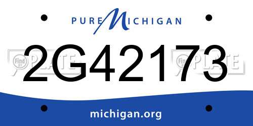 2G42173 Michigan License Plate