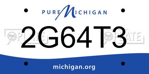 2G64T3 Michigan License Plate