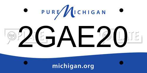 2GAE20 Michigan License Plate