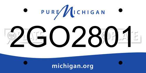 2GO2801 Michigan License Plate