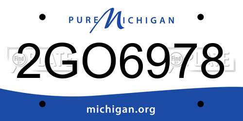 2GO6978 Michigan License Plate