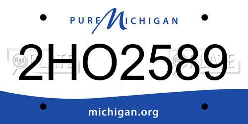 2HO2589 Michigan License Plate