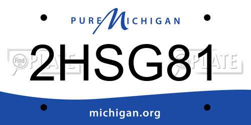 2HSG81 Michigan License Plate