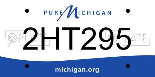 2HT295 Michigan License Plate