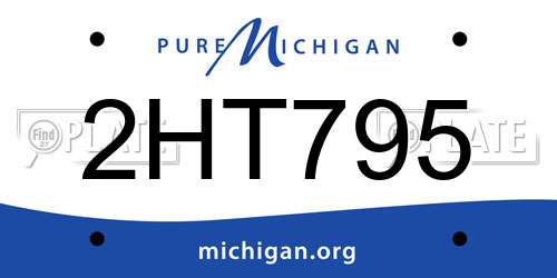 2HT795 Michigan License Plate