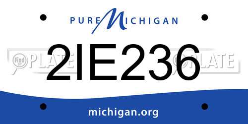 2IE236 Michigan License Plate