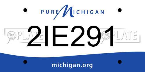 2IE291 Michigan License Plate
