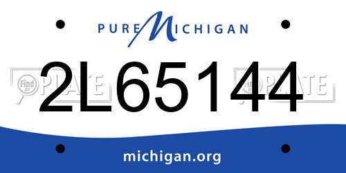 2L65144 Michigan License Plate