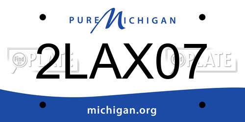 2LAX07 Michigan License Plate