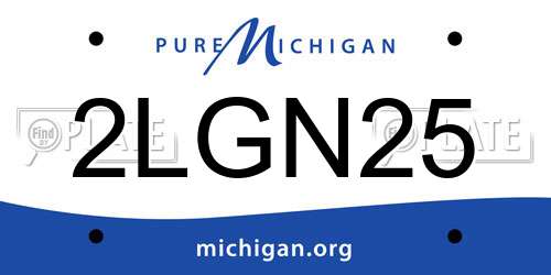 2LGN25 Michigan License Plate