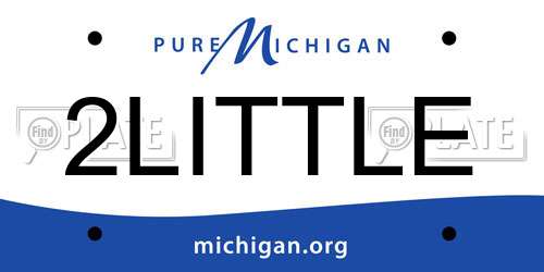 2LITTLE Michigan License Plate