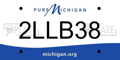 2LLB38 Michigan License Plate