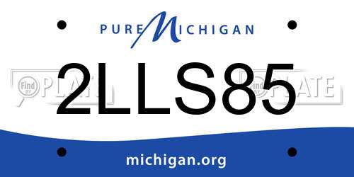 2LLS85 Michigan License Plate